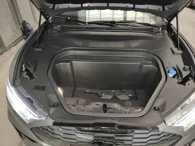 Ford Mustang Mach-E — Фото автомобиля 19