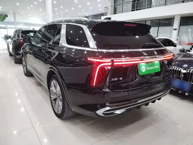 Hongqi E-HS9 — Фото автомобиля 4