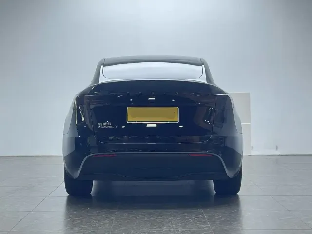 Tesla Model Y — Фото автомобиля 4