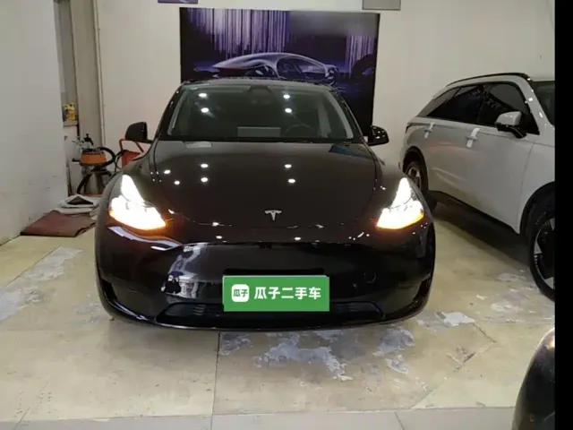 Tesla Model Y — Фото автомобиля 2