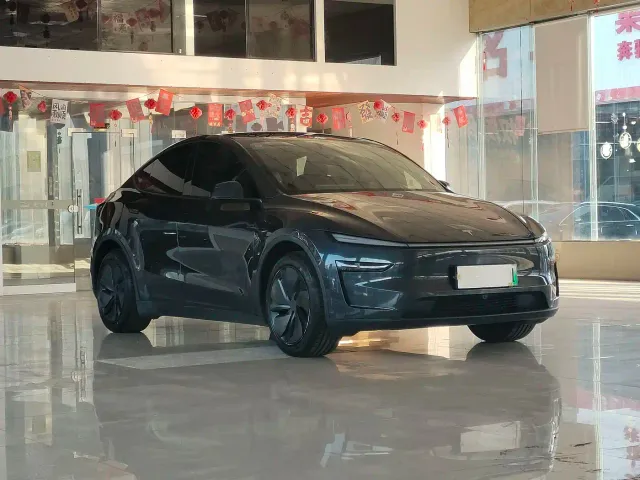 Tesla Model Y — Фото автомобиля 3