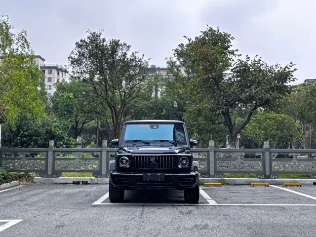 Mercedes-Benz G-Class — Фото автомобиля 2