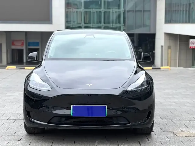 Tesla Model Y — Фото автомобиля 2
