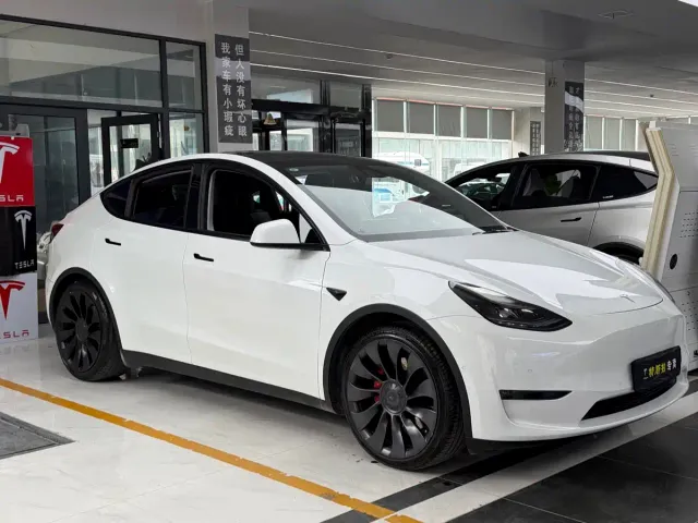 Tesla Model Y — Фото автомобиля 3
