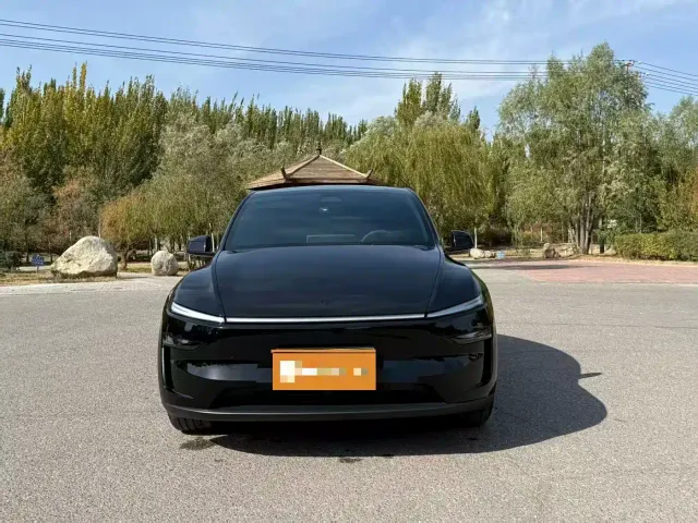 Tesla Model Y — Фото автомобиля 3