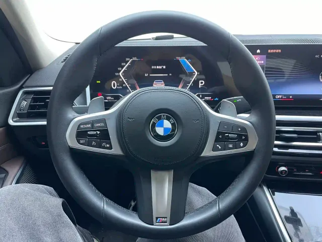 BMW 3 Series — Фото автомобиля 10
