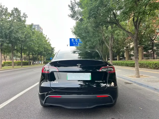 Tesla Model Y — Фото автомобиля 18