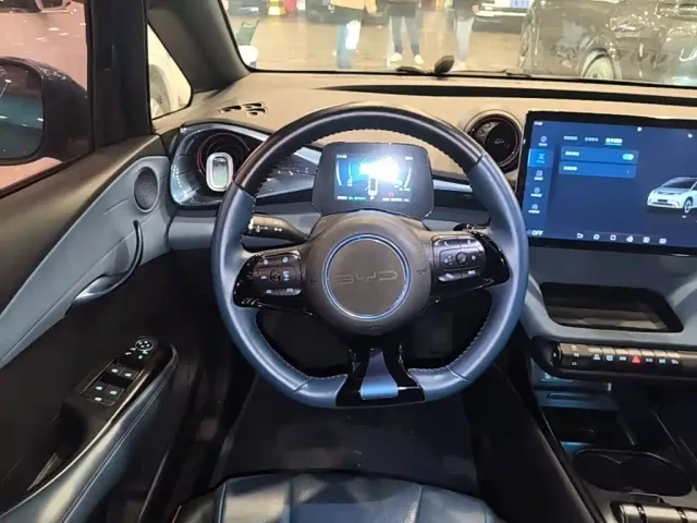 BYD Dolphin — Фото автомобиля 10