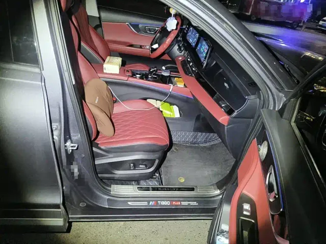 Chery Tiggo 7 PLUS — Фото автомобиля 13
