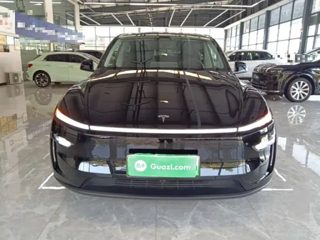 Tesla Model Y — Фото автомобиля 2