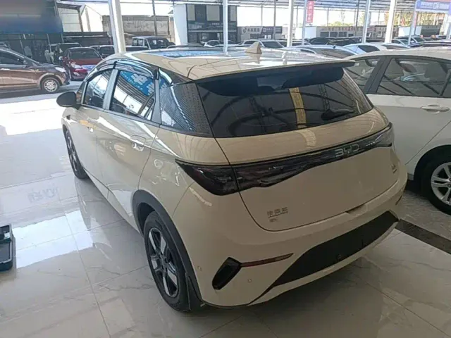 BYD Dolphin — Фото автомобиля 4