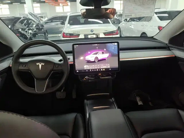 Tesla Model Y — Фото автомобиля 9