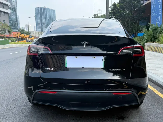 Tesla Model Y — Фото автомобиля 9
