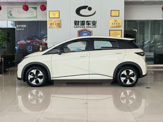 BYD Dolphin — Фото автомобиля 4