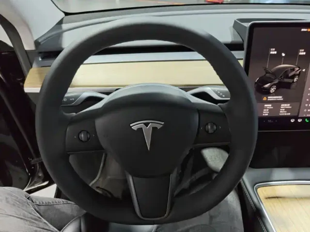 Tesla Model Y — Фото автомобиля 10