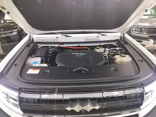 BYD FangChengBao Leopard 5 — Фото автомобиля 19