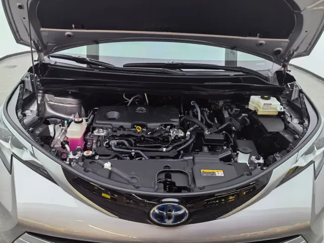 Toyota Sienna — Фото автомобиля 9