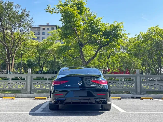 Mercedes-Benz CLS-Class — Фото автомобиля 5