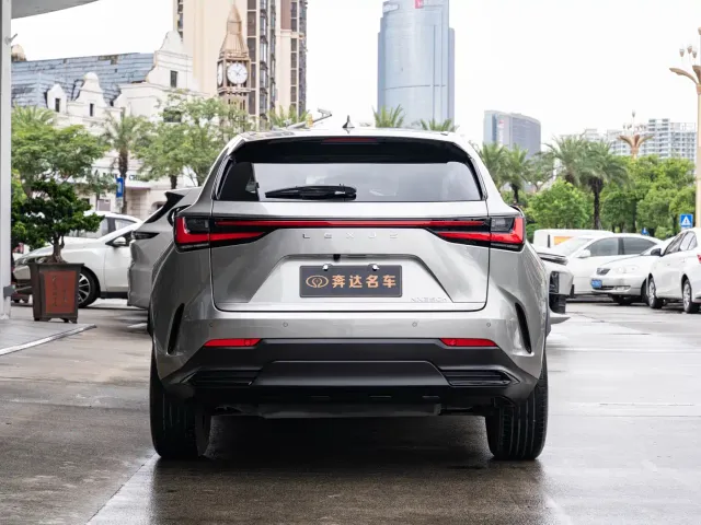 Lexus NX — Фото автомобиля 5