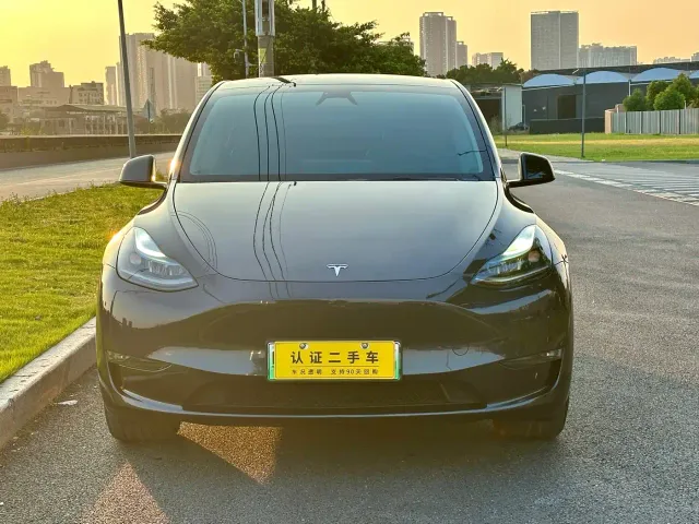 Tesla Model Y — Фото автомобиля 2