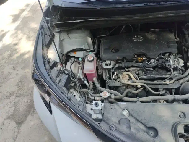Toyota Sienna — Фото автомобиля 20
