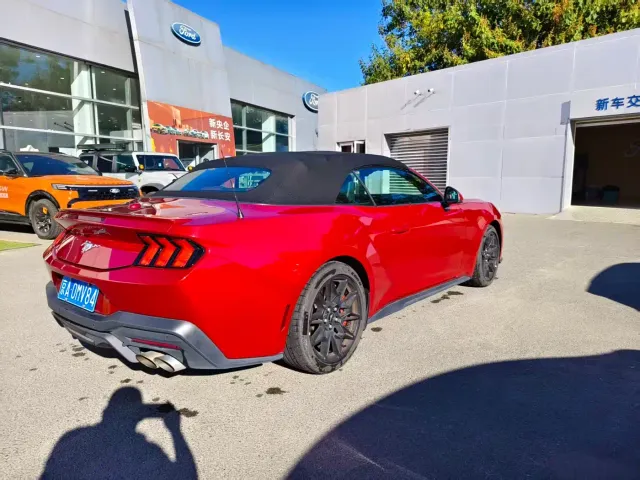 Ford Mustang — Фото автомобиля 6
