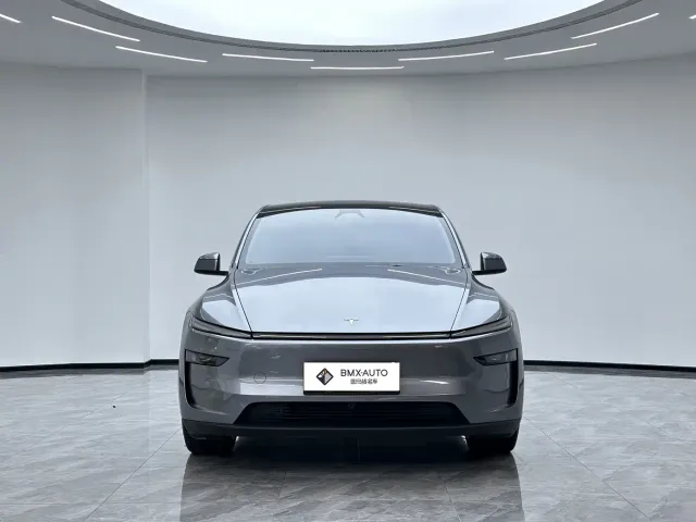 Tesla Model Y 2025 Facelift Long Range All-Wheel Drive — Фото автомобиля 6