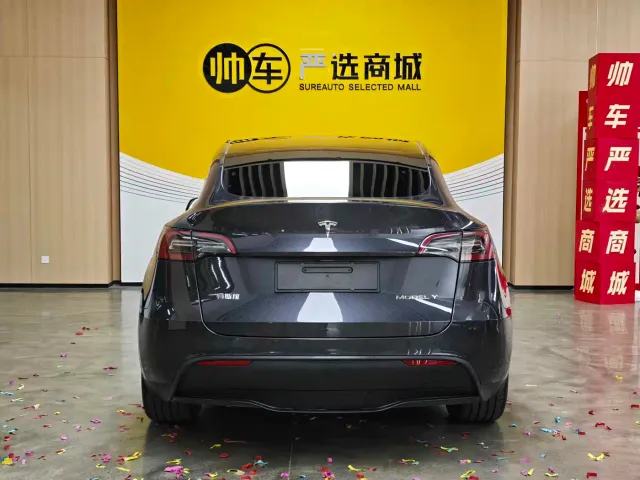 Tesla Model Y — Фото автомобиля 5