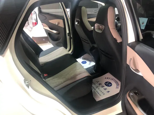 BYD Dolphin 2021 Model 405km Fashion Edition — Фото автомобиля 9