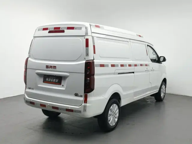 Jinbei Golden Sea Lion Classic 2023 2.0L Cargo Engineering Lion 2-seater — Фото автомобиля 2