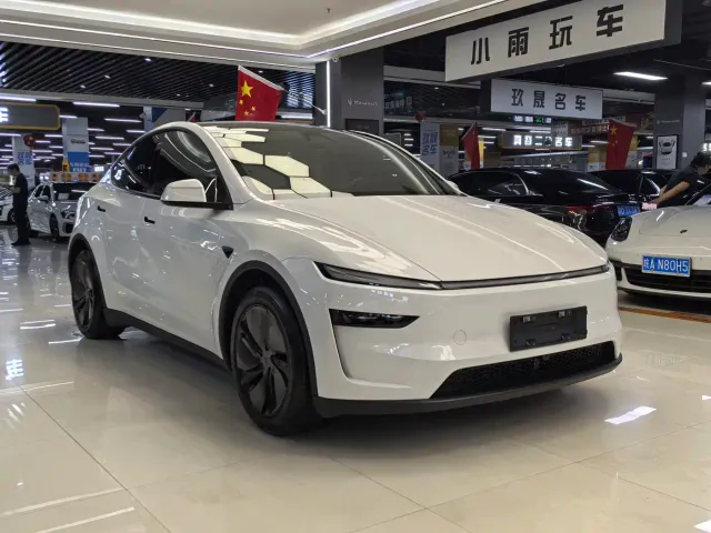 Tesla Model Y — Фото автомобиля 3