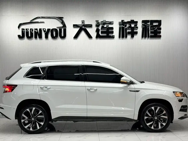Skoda Karoq — Фото автомобиля 7