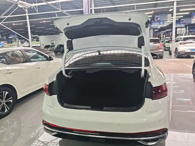Volkswagen Sagitar — Фото автомобиля 18