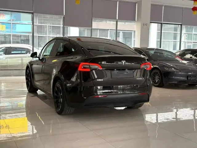 Tesla Model Y — Фото автомобиля 9