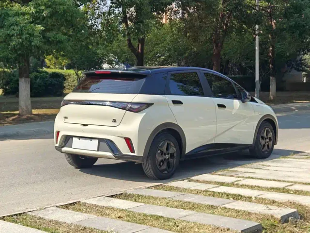 BYD Dolphin — Фото автомобиля 5