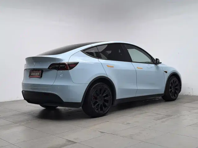 Tesla Model Y — Фото автомобиля 2