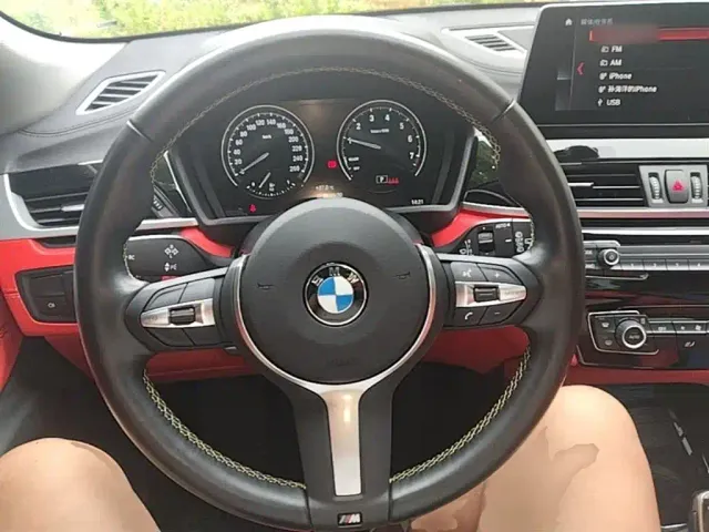 BMW X2 — Фото автомобиля 10
