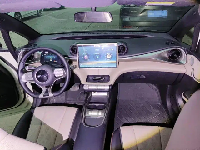 BYD Dolphin — Фото автомобиля 12