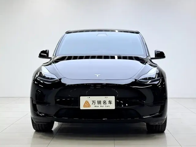 Tesla Model Y — Фото автомобиля 2