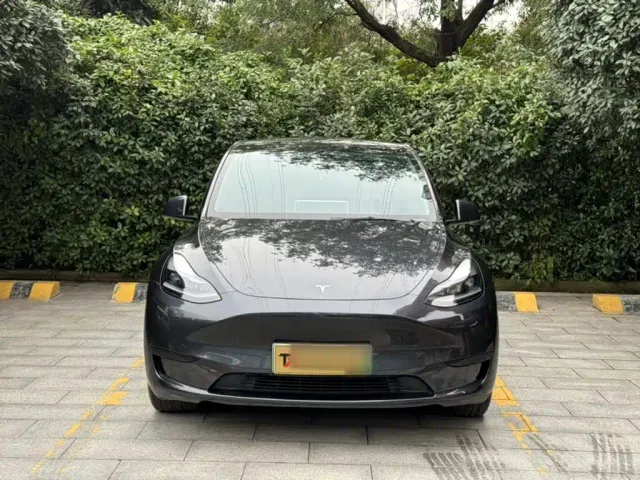 Tesla Model Y — Фото автомобиля 3