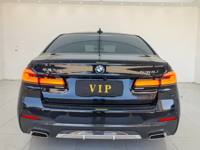 BMW 5 Series — Фото автомобиля 8