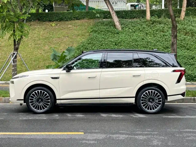 Wey Lanshan — Фото автомобиля 3