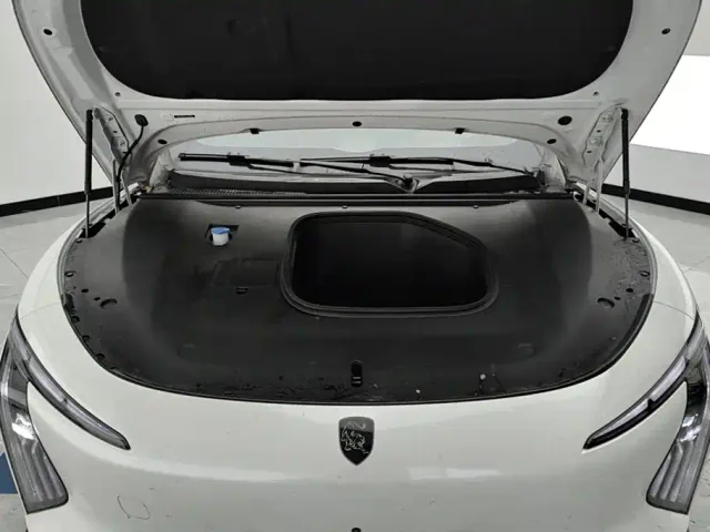 Forthing Xinghai S7 — Фото автомобиля 10
