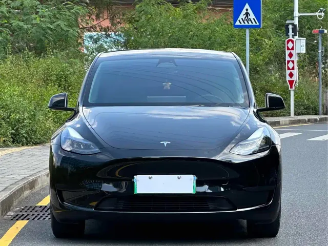 Tesla Model Y — Фото автомобиля 2