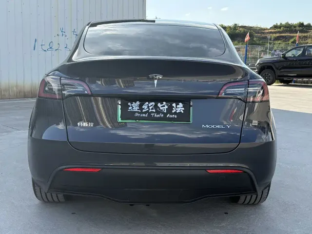 Tesla Model Y — Фото автомобиля 5