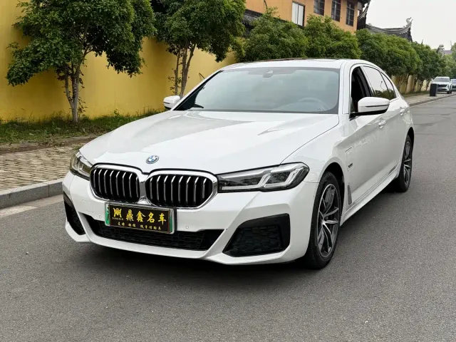 BMW 5 Series — Фото автомобиля 15