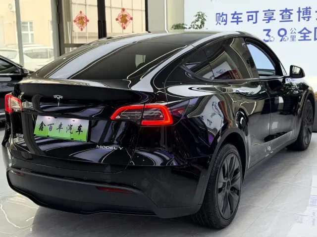 Tesla Model Y — Фото автомобиля 8