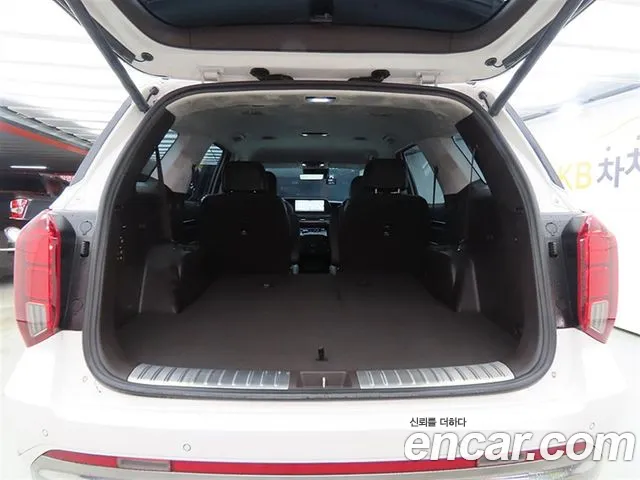 Hyundai Palisade The New — Фото автомобиля 17