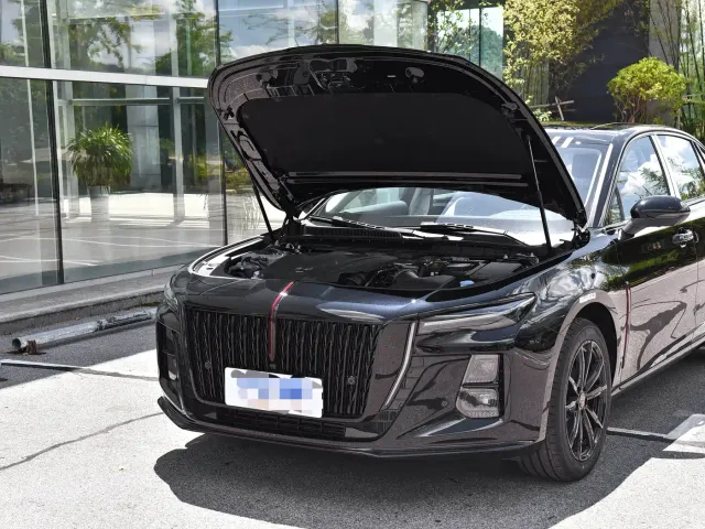Hongqi H5 — Фото автомобиля 8