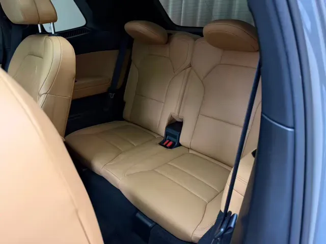 Lynk & Co Lynk & Co 09 EM-P 2021 2.0T PHEV Halo 6-seater — Фото автомобиля 9